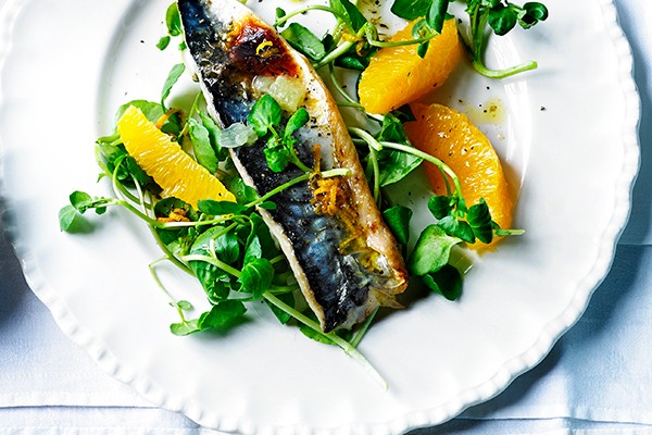 Grilled Mackerel Fillets Recipe with Lime Mojo