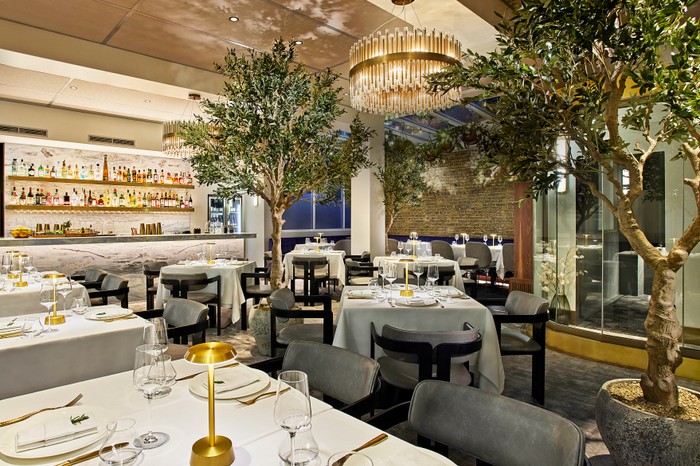 The plush modern Italian interior at Sparrow, featuring large tree pots situated in the middle of the room