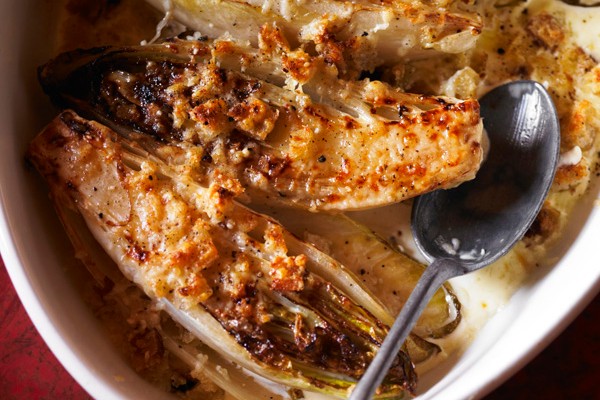 Chicory Gratin Recipe