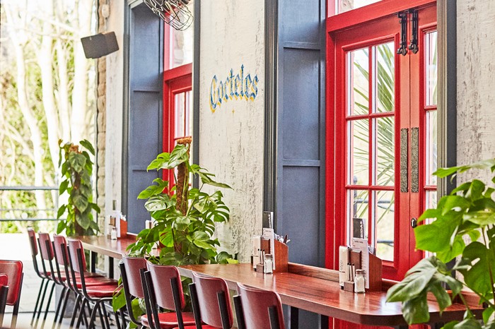 The interiors at taqueria restaurant Barrio, including a row of bright red tables and chairs with leafy plants