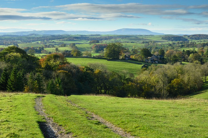 View of Pendle Hill from path to Weets Top above Calton, Malhamdale.