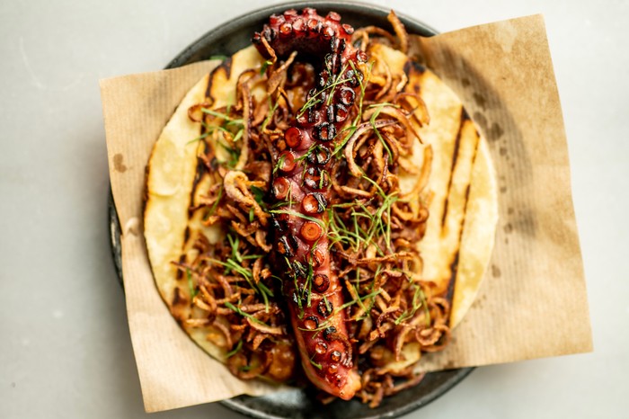 Octopus on a taco, on a dark grey plate