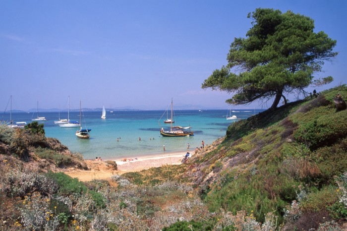 Plage sur l'île de Porquerolles