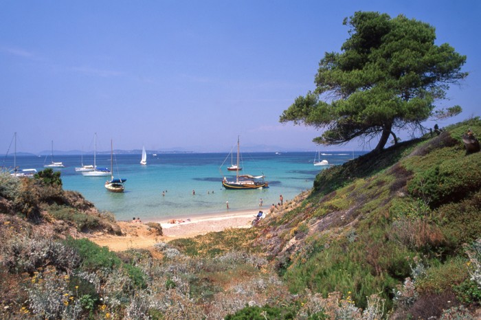 Plage sur l'île de Porquerolles Plage sur l'île de Porquerolles