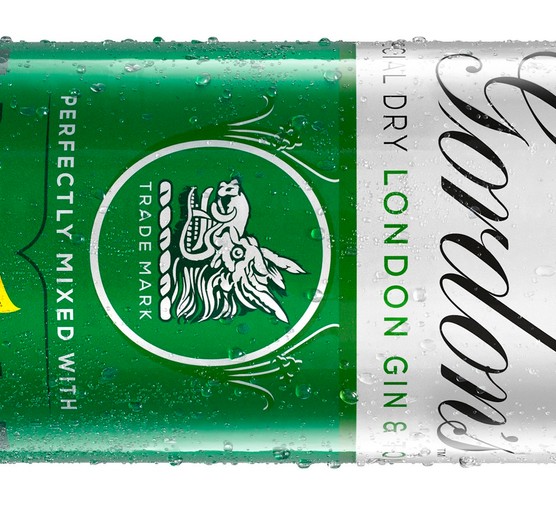 Gordon's gin and tonic in a can Gordon's gin and tonic in a can