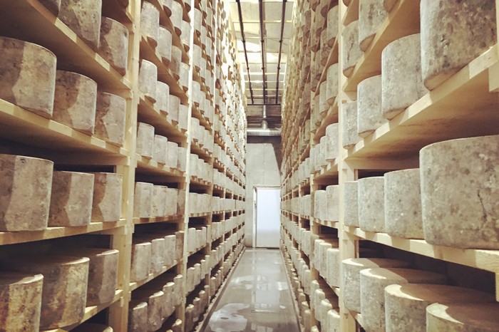 Westcombe dairy cheese